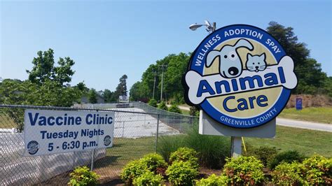 Animal care greenville sc - Adoption is one of the many ways we can help Greenville County Animal Care maintain a NO-KILL community. ... P. O. Box 4712, Greenville, SC 29608. 